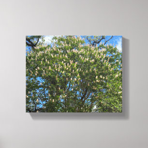 Buckeye Sky Canvas Print
