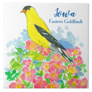 Buckeyes State Bird of Iowa Roses Tile