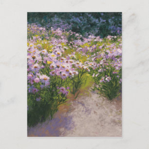 Buckhorn Aster Show Postcard