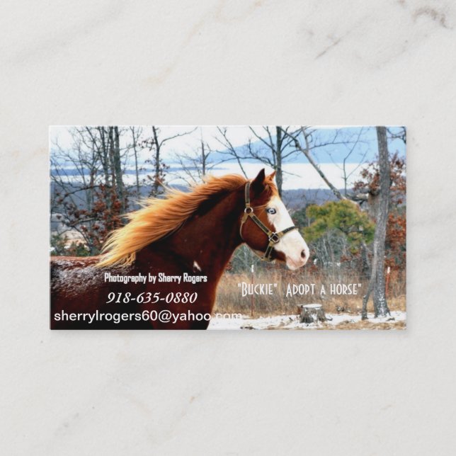 " Buckie"  Adopt a horse Business Card (Front)