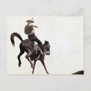Bucking Bronco Postcard