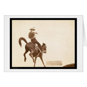 Bucking Bronco SD 1888