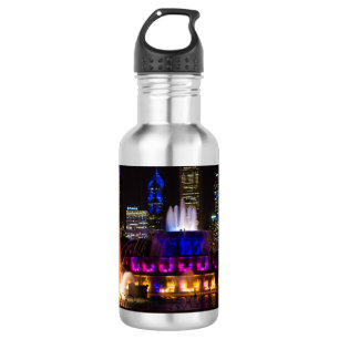 Buckingham Fountain Chicago Stainless Steel Water 532 Ml Water Bottle