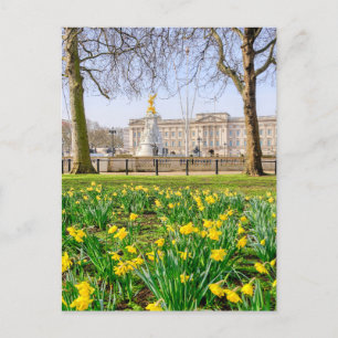 Buckingham Palace, London UK Postcard