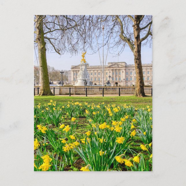 Buckingham Palace, London UK Postcard (Front)