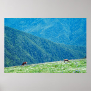 Bucks by the Mountains Poster