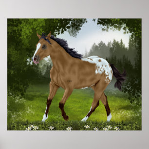 Buckskin Appaloosa Horse Poster