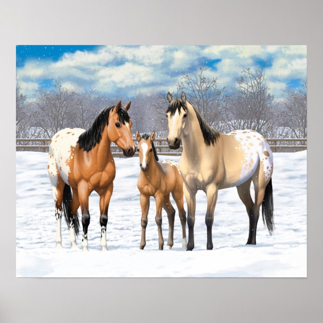 Buckskin Appaloosa Horses In Snow Poster (Front)