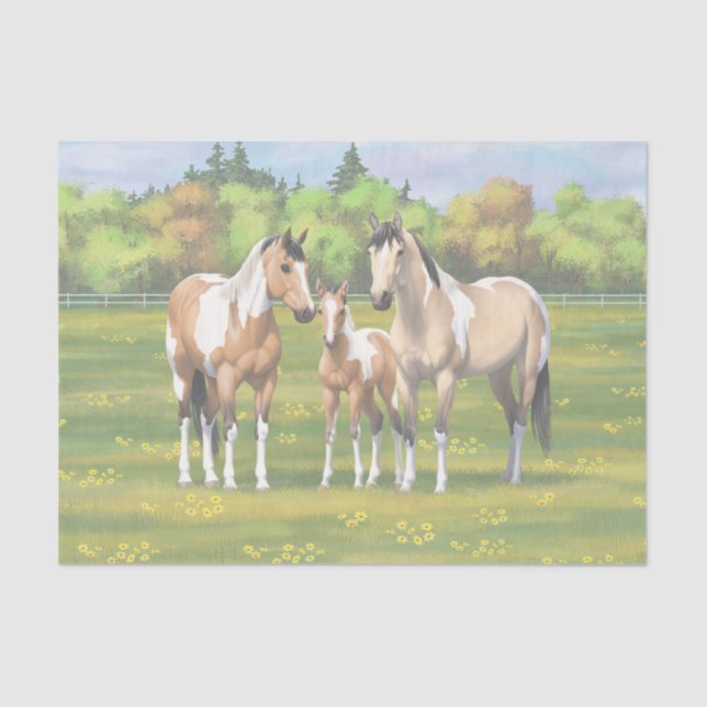 Buckskin Dun Pinto Paint Horses In Summer Pasture Tissue Paper (Front)