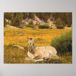 Buckskin Foal Portrait Baby Horse Equestrian Art Poster