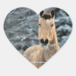 Buckskin Horse Winter Heart Sticker
