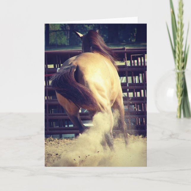 Buckskin Kicks Up Dust All Occasions  Card (Front)