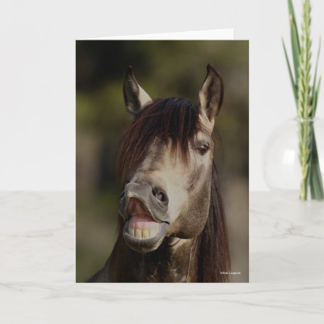 Buckskin Lusitano Stallion Flehmen Headshot Card (Front)