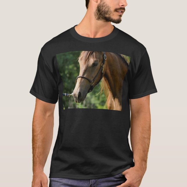 Buckskin Morgan Horse T-Shirt (Front)