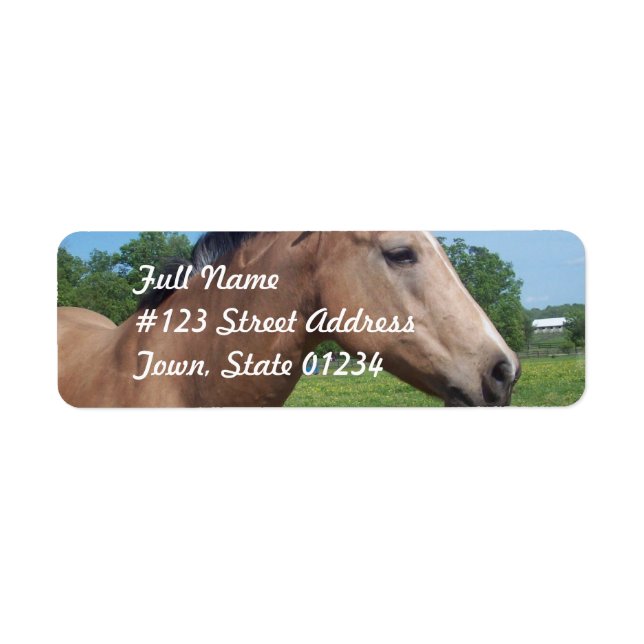 Buckskin Mustang Mailing Label (Front)