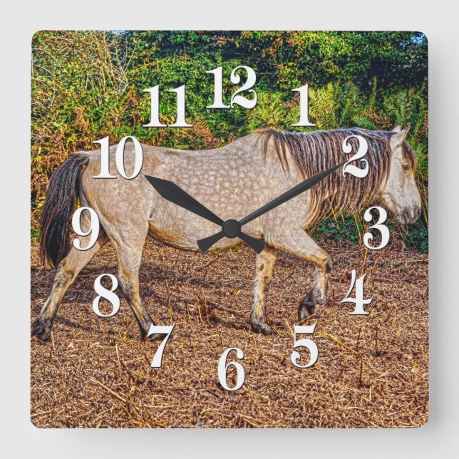 Buckskin New Forest Pony Wildlife Square Wall Clock (Front)
