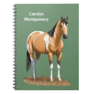 Buckskin Pinto Dun Paint Horse Staillion Notebook