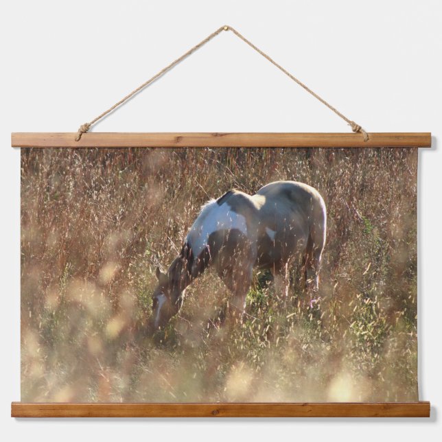 Buckskin Tobiano Grazing in Morning Sun Photo Hanging Tapestry (Front)