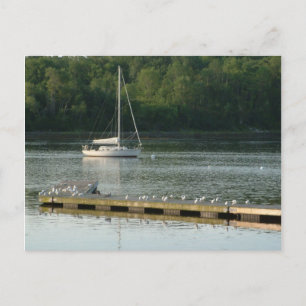Bucksport Maine Postcard