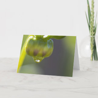 Bud and drop greeting card