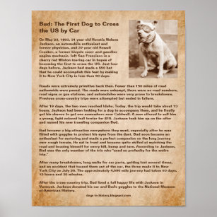 Bud, First Dog to Cross the US by Car Poster