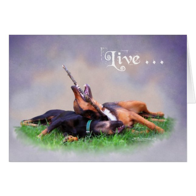 Bud & Gabby (Front Horizontal)