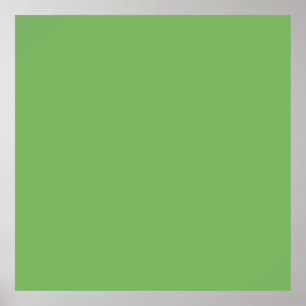 Bud green (solid colour) poster