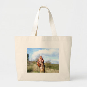 bud of a horse chest nut large tote bag