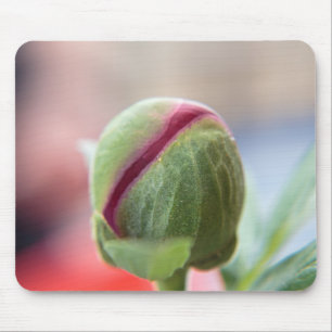 Bud of a Peony/Pfingstrosen Mouse Mat