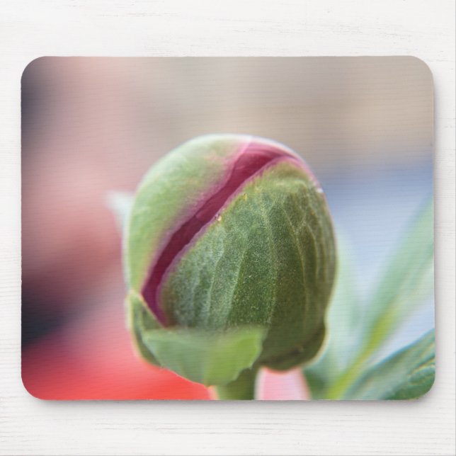 Bud of a Peony/Pfingstrosen Mouse Mat (Front)
