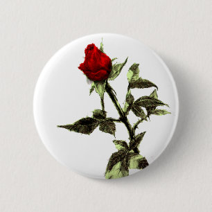 Bud of the red rose penciled 6 cm round badge
