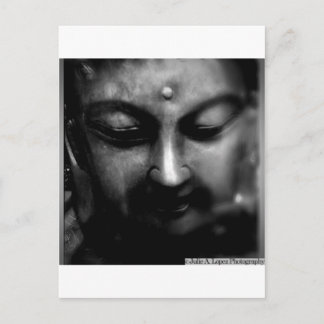 Buddha 001 postcard