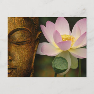 Buddha and flower postcard