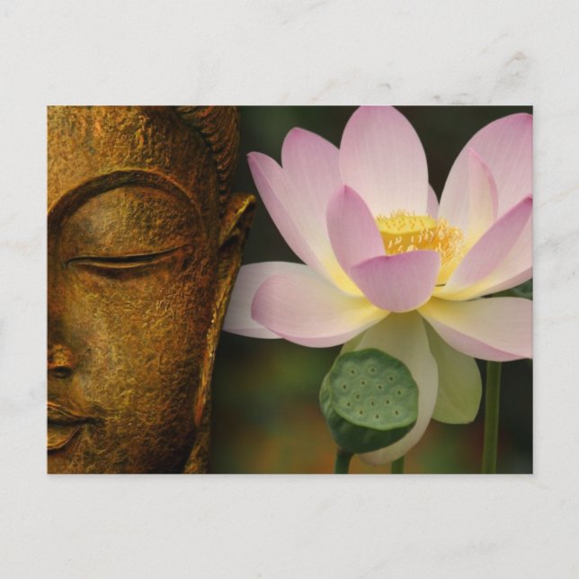 Buddha and flower postcard (Front)