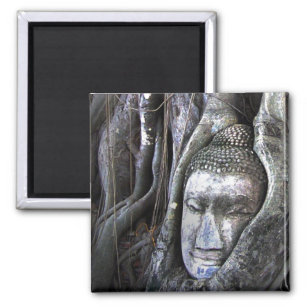Buddha And The Tree Buddhism Thailand Photography Magnet
