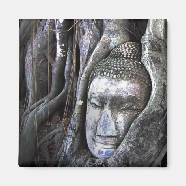 Buddha And The Tree Buddhism Thailand Photography Magnet (Front)