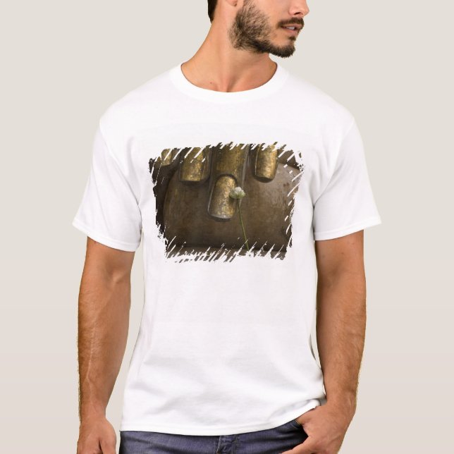 Buddha at Wat Si Chum. T-Shirt (Front)