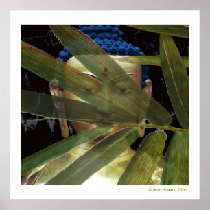 Buddha  Bamboo Poster