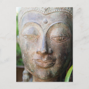 Buddha Close Up Postcard