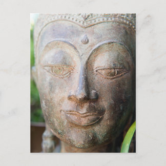 Buddha Close Up Postcard