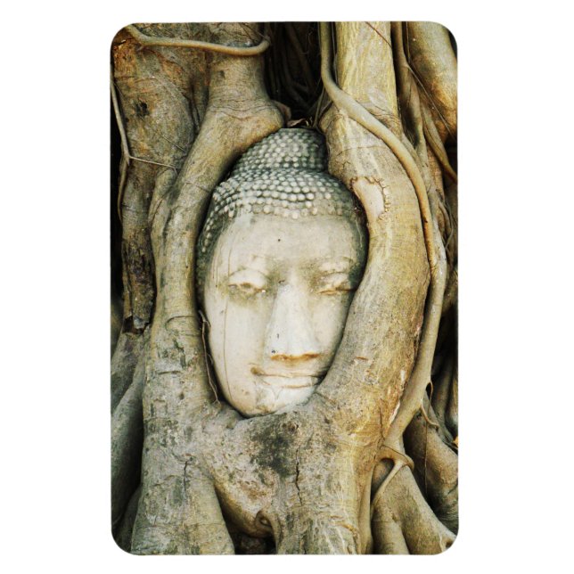 Buddha Head in the Fig Tree .. Ayutthaya, Thailand Magnet (Vertical)