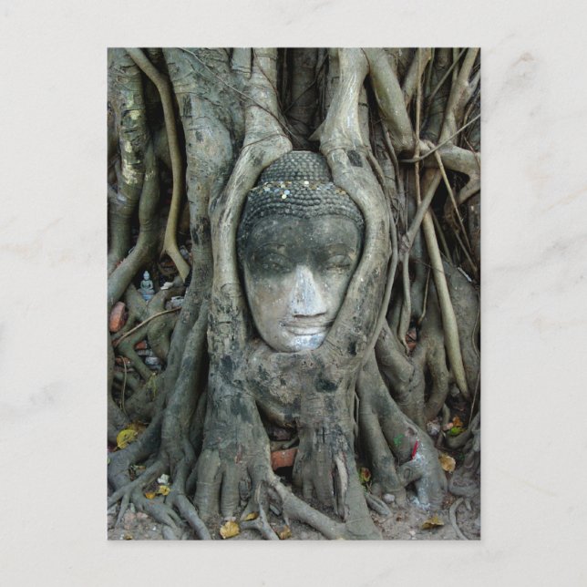 Buddha Head Postcard (Front)