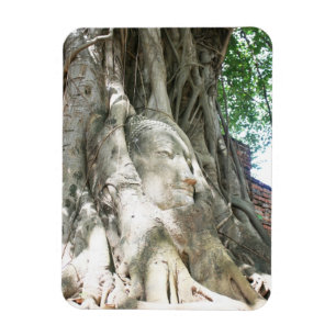 Buddha Head Premium Magnet