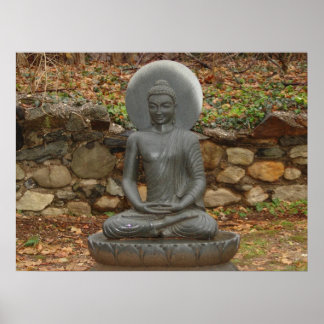 Buddha in the rain poster