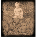 Buddha Photo Sculpture<br><div class="desc">Buddha Photo Sculpture Woodstock, NY</div>