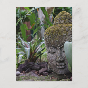 Buddha Postcard