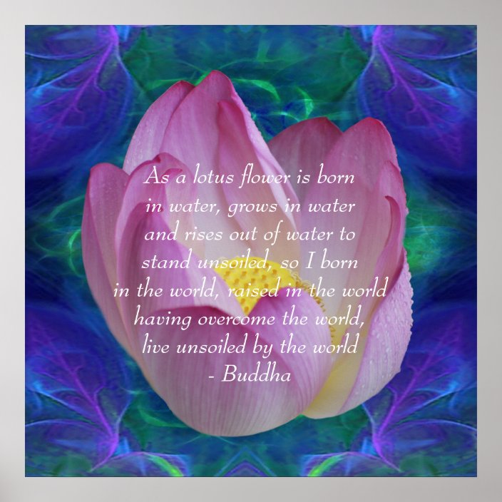 Buddha quote Lotus flower Poster Zazzle.co.uk