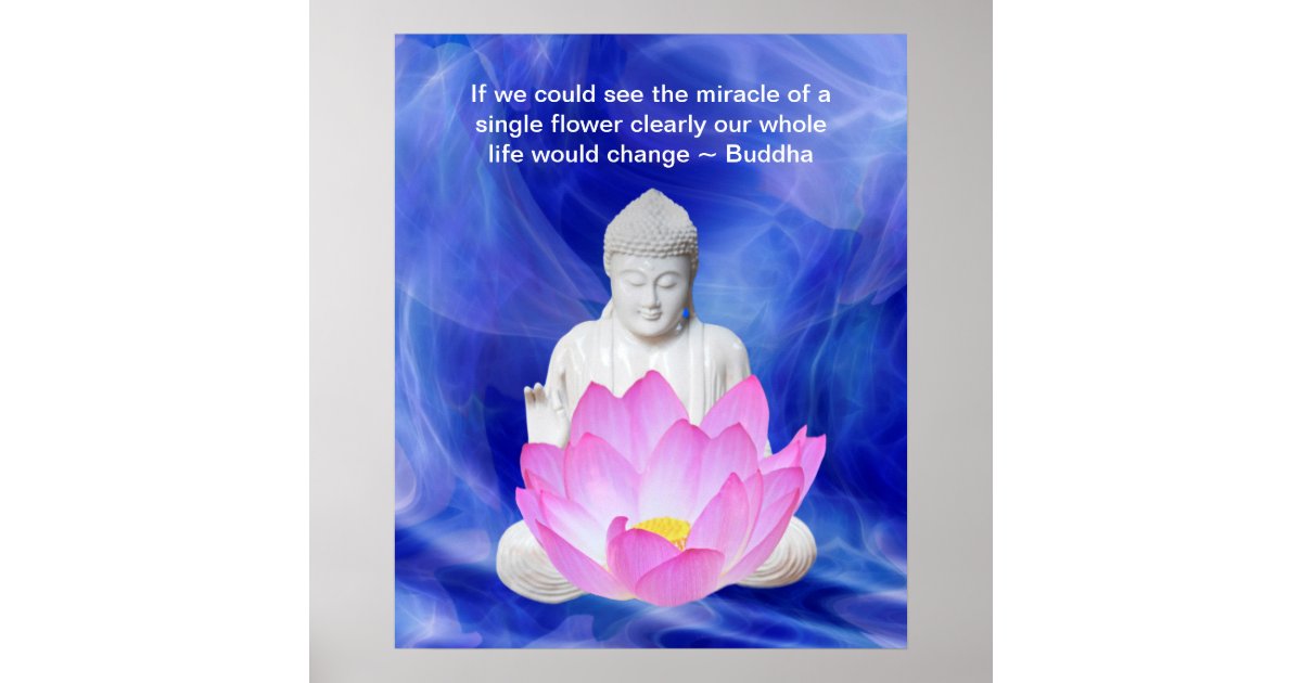 Buddha quote Lotus flower Poster | Zazzle