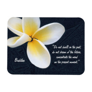 Buddha Quotes & Fragipani flower / art meditation Magnet
