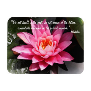 Buddha Quotes & Lotus Flower / Nature Meditation Magnet